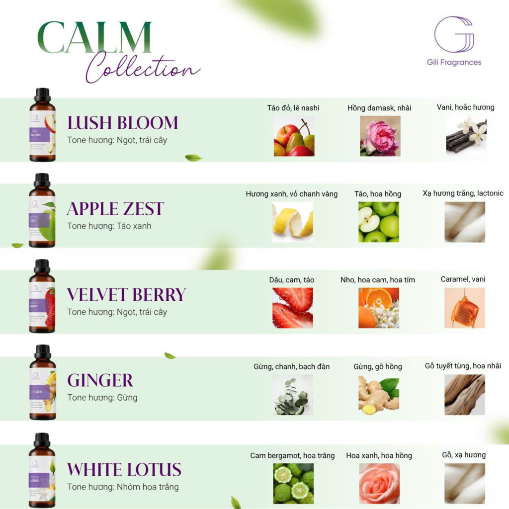 Bộ sưu tập tinh dầu Calm Collection Gili Fragrances